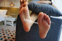 WYK010����ţԭ����������УС��ʿ�ļ�Ʒ������Ʒ��38��������������