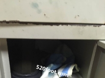 ��������Ů�ǵ�Ь��ζ��