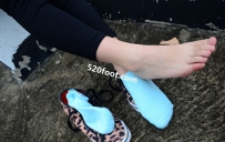 51��ѧ��У԰Ů��-����ϵ��ͼ����51����155P��