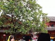 �������ٸ��ĸ߸������㣬ֺӡ������